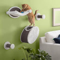 4 Piece Wall-Mounted Cat Lounging Set Q892