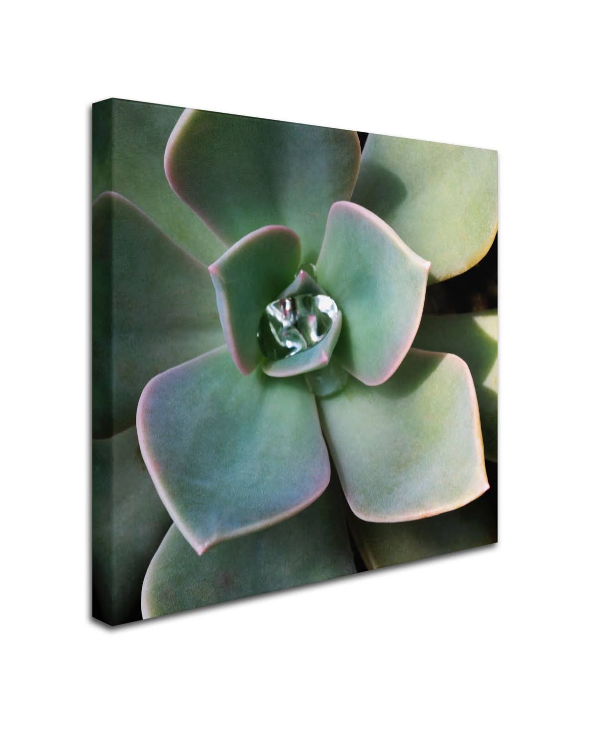 Canvas Art P114377