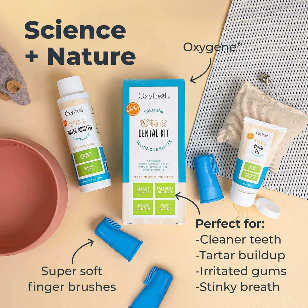 Pet Dental Kit R352