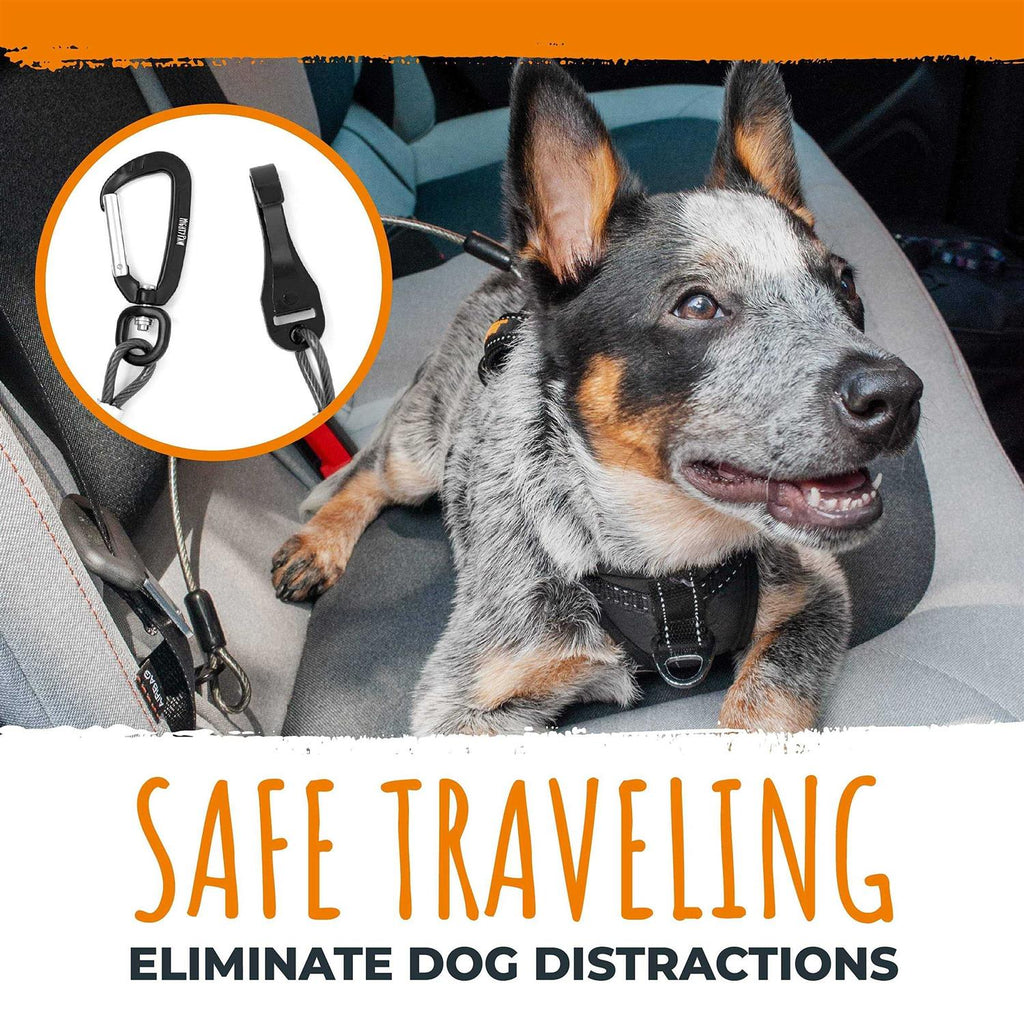 Chew-Proof Dog Seat Belt X777625