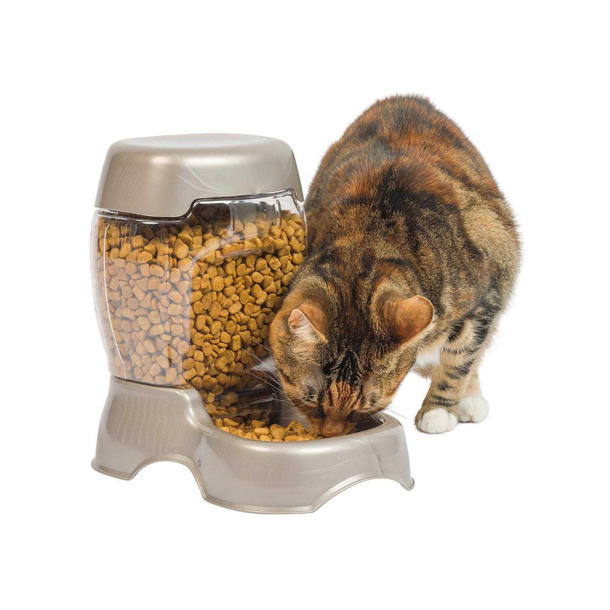 Pet Feeder L12155