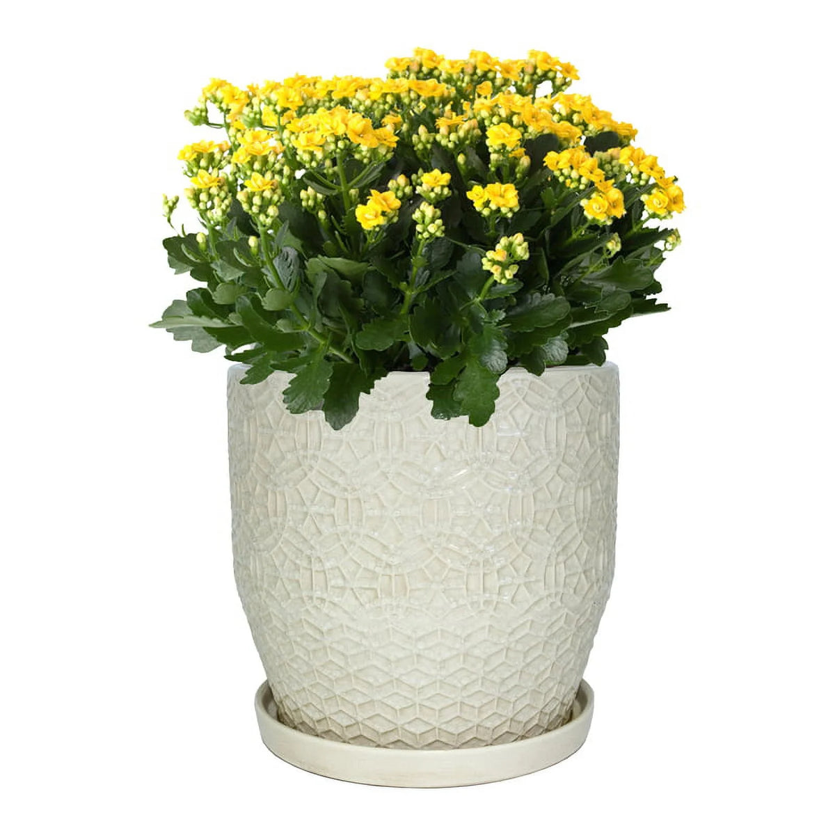 10" Round White Ceramic Planter F969