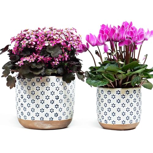 Set of 2 Ceramic Stoneware Plant Pots with Drainage Hole F72078