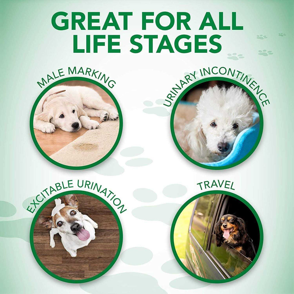 Disposable Male Dog Wraps O824