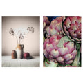 Artichokes Poster 12x16 B6758