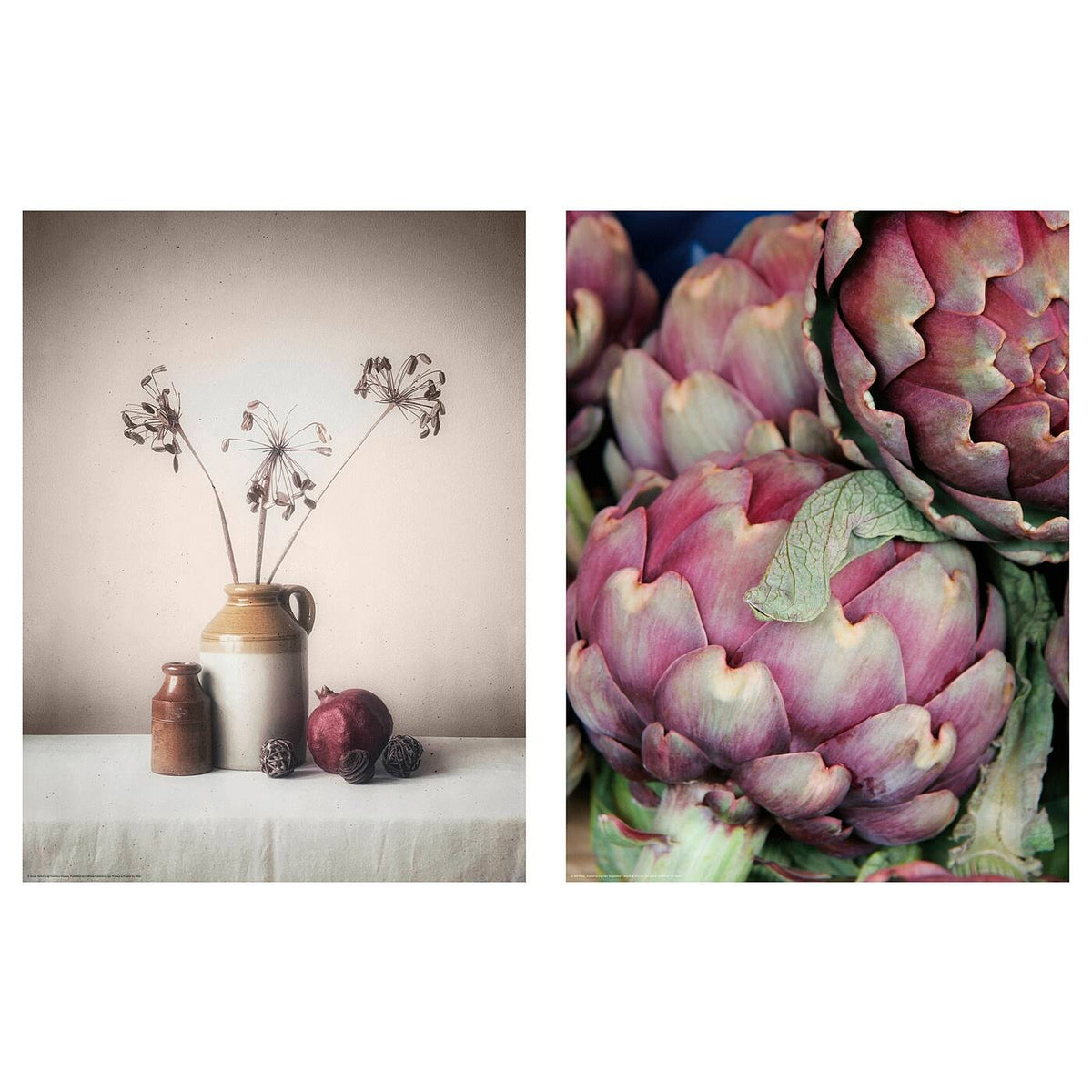 Artichokes Poster 12x16 B6758