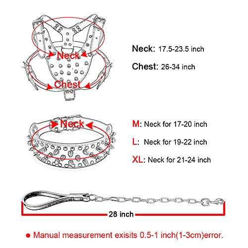 Black Leather Spiked Dog Collar & Leash & Harness 3 Pcs Set M23836
