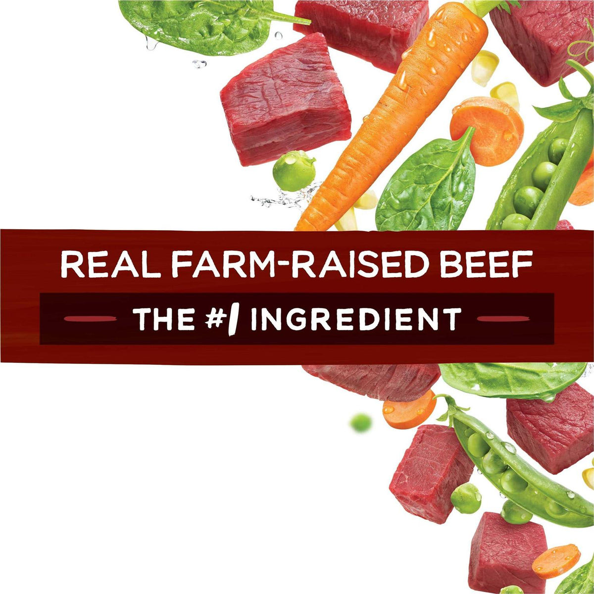 Dog Food with Real Beef Q3134