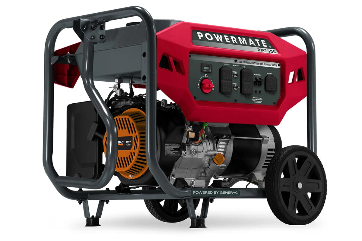 4500 Watts Portable Inverter Generator R580194