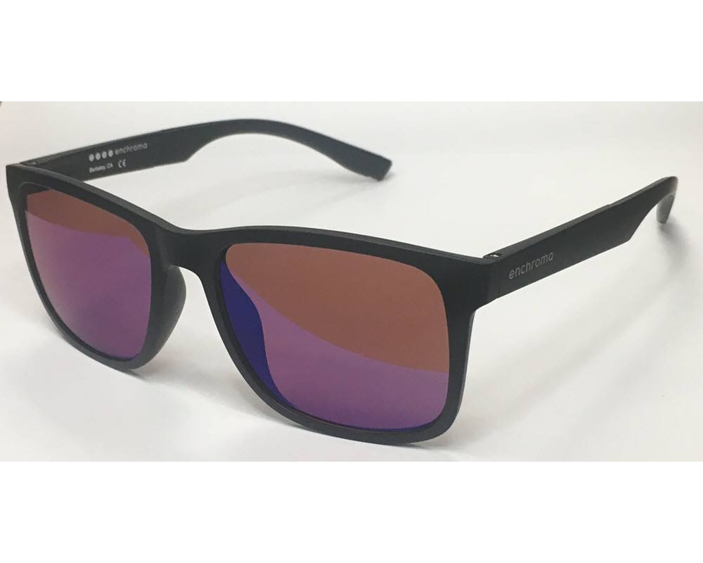 Black Sunglasses F60978