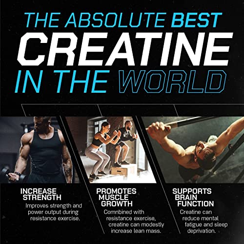 Unflavored Creatine Monohydrate Powder, 168 Servings T3359