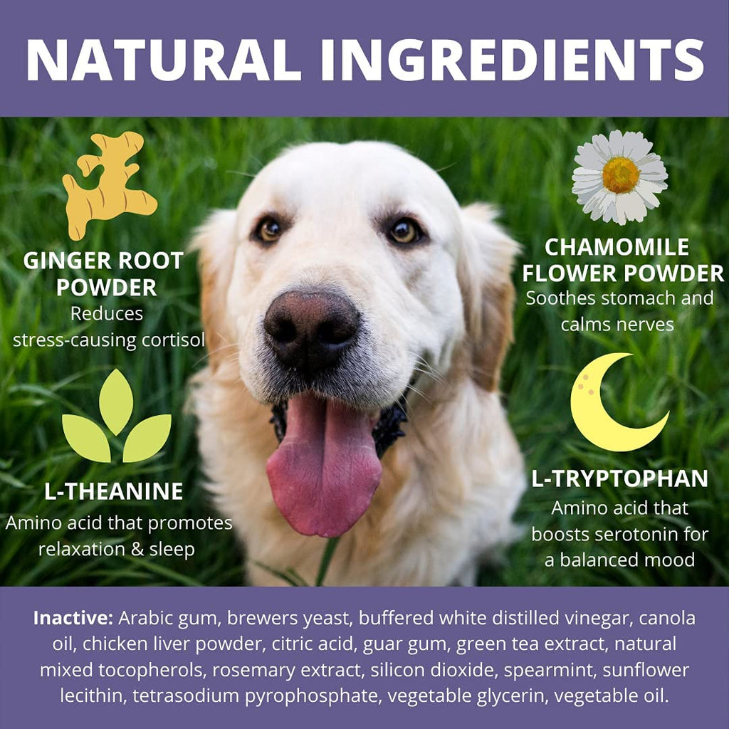 Calming Soft Chews for Dogs (60 Count Pack) K614516
