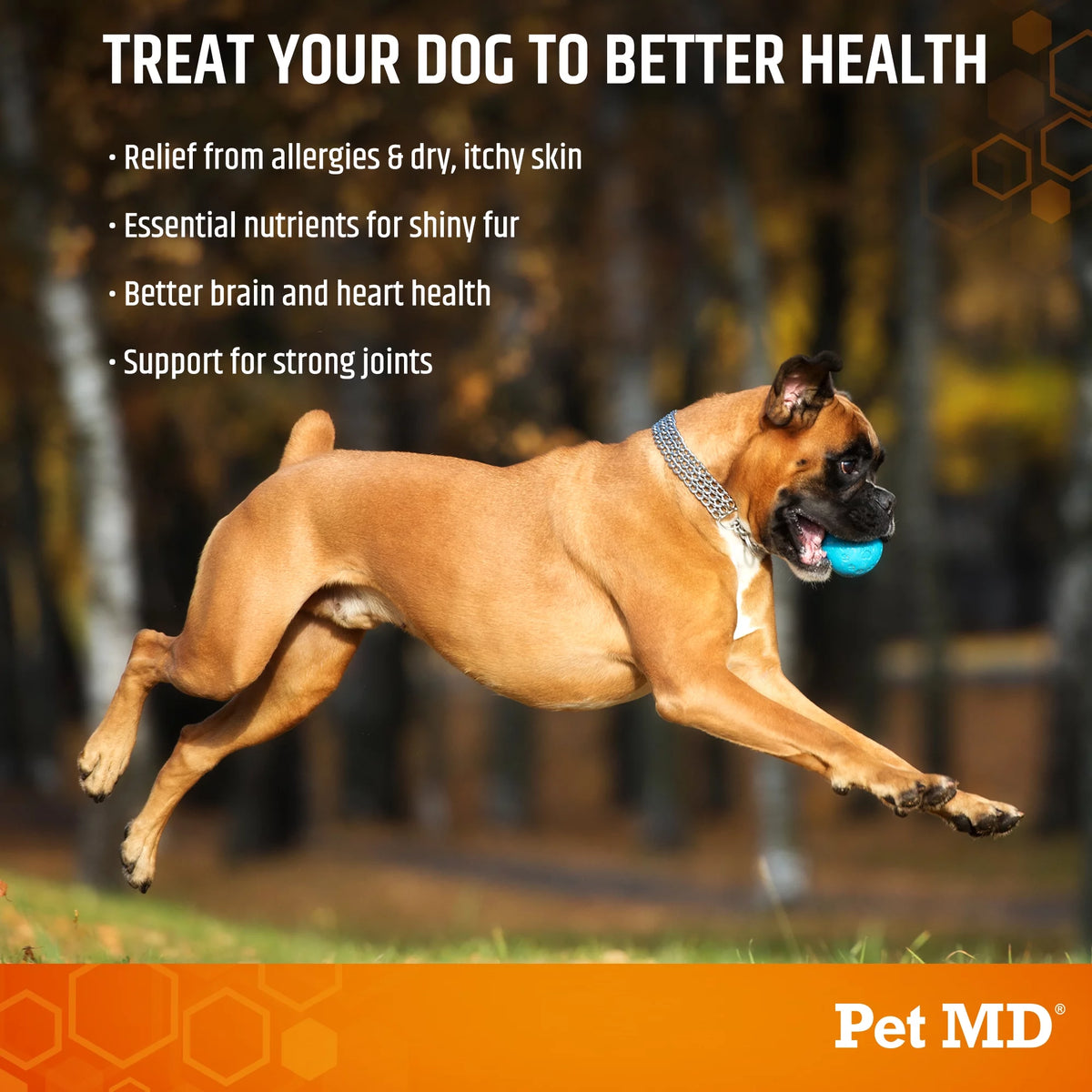 Salmon Oil Omega 3 Soft Chews for Dogs 120 Count A796351
