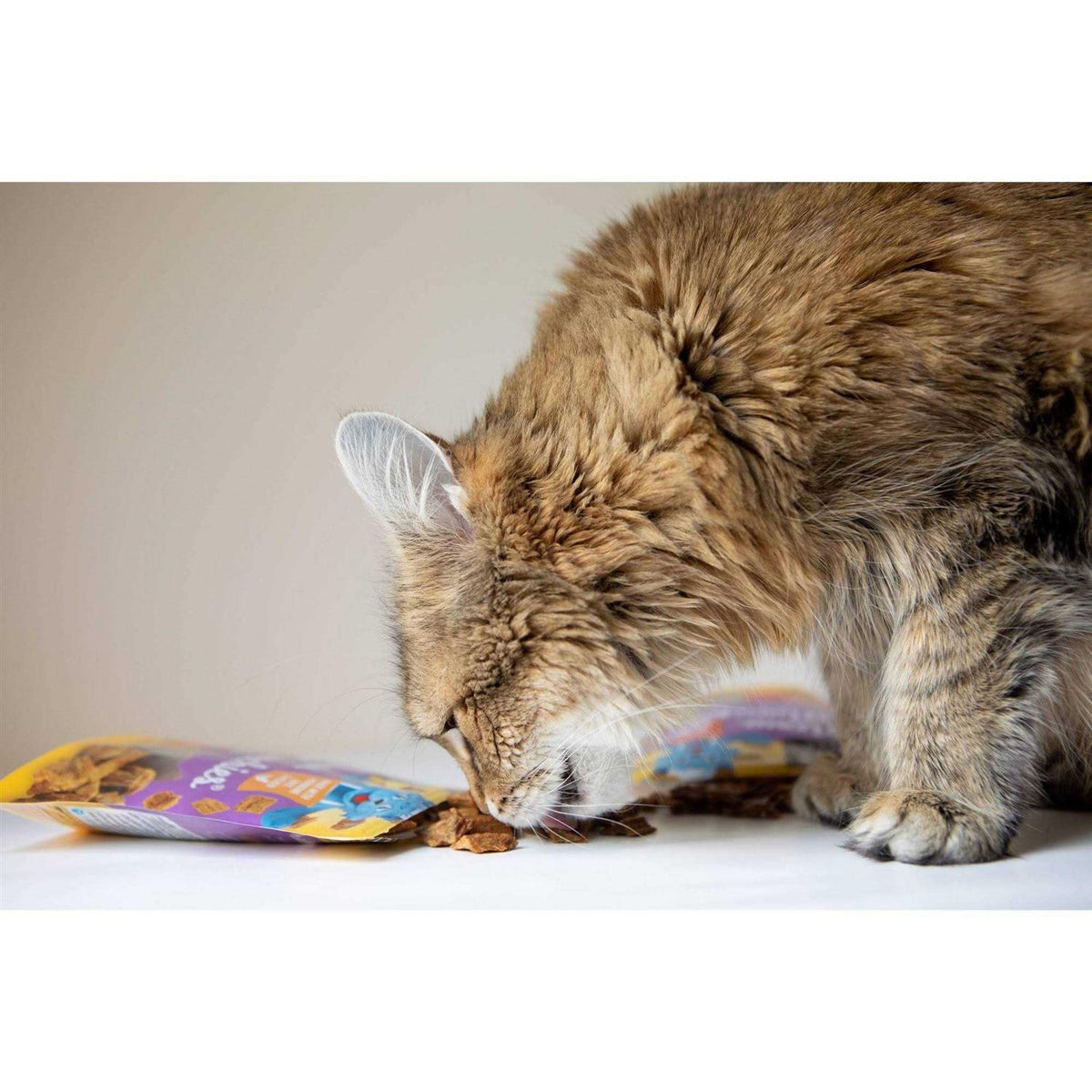 Cat Treats J275266