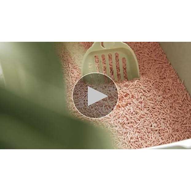 Tofu Cat Litter Clumping H631562
