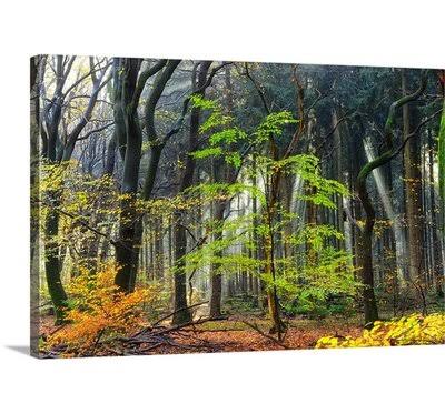 Photographic Print Canvas 32x22 H x 48x22 W x 1.5x22 N281065