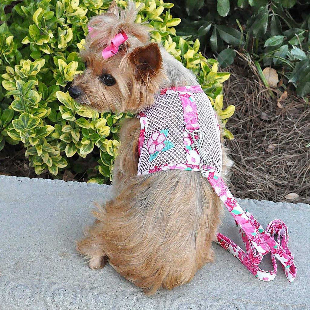 Cool Mesh Dog Harness with Leash P93668