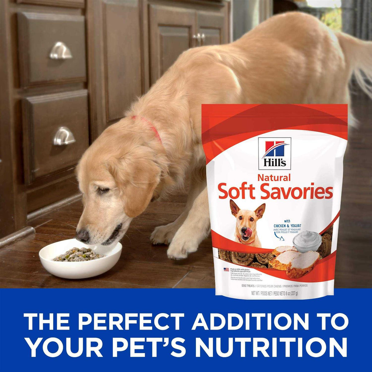 Soft Savories Dog Treats I8075