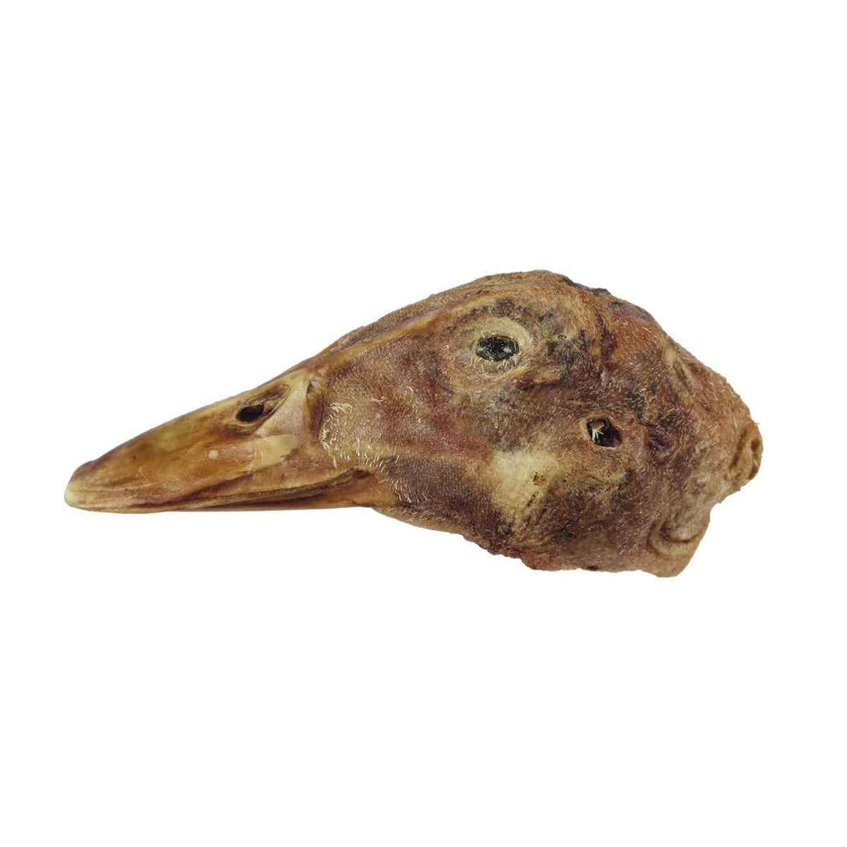 Freeze-Dried Raw Bar Duck Head M31088