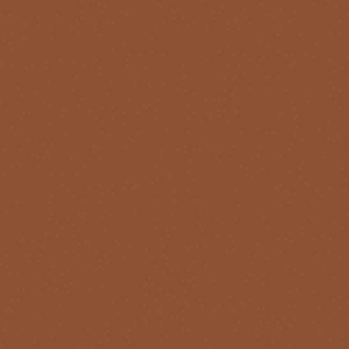Concealer (Shade 5 of 6) M726