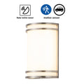 1-Light Brushed Nickel LED Outdoor Wall Light with Acrylic Shade L4329