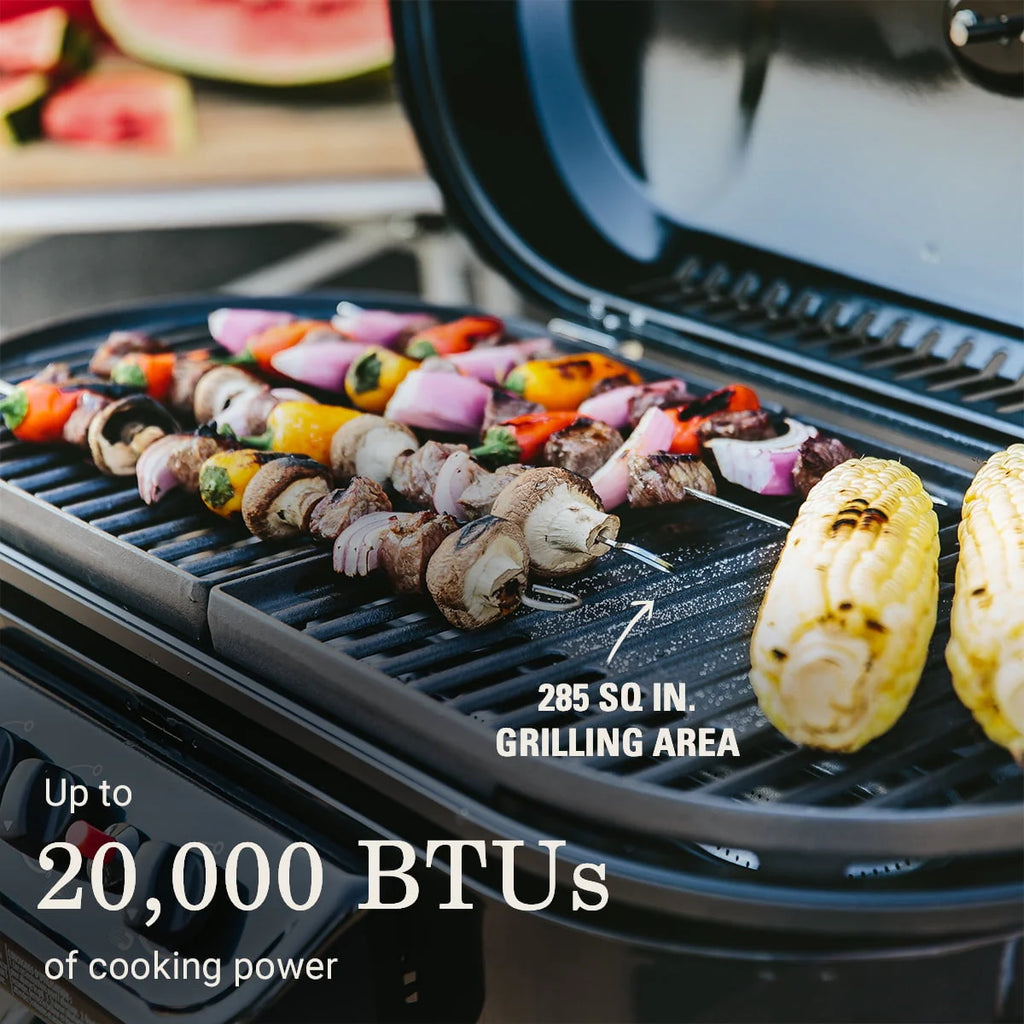 Standup Propane Gas Grill M205
