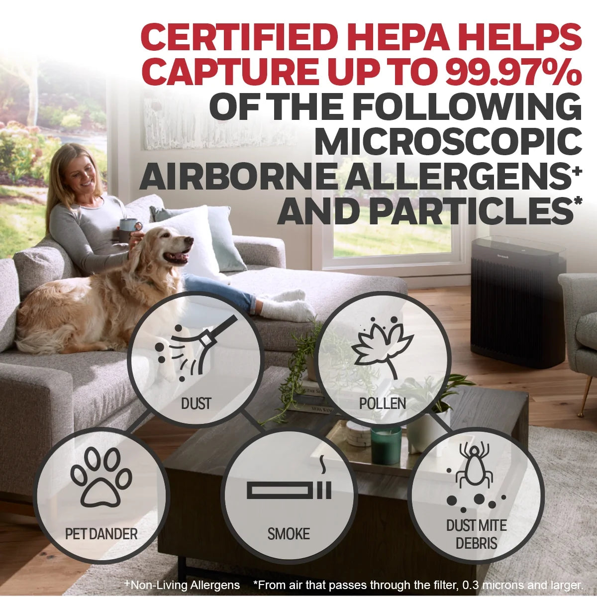HEPA Air Purifier T181