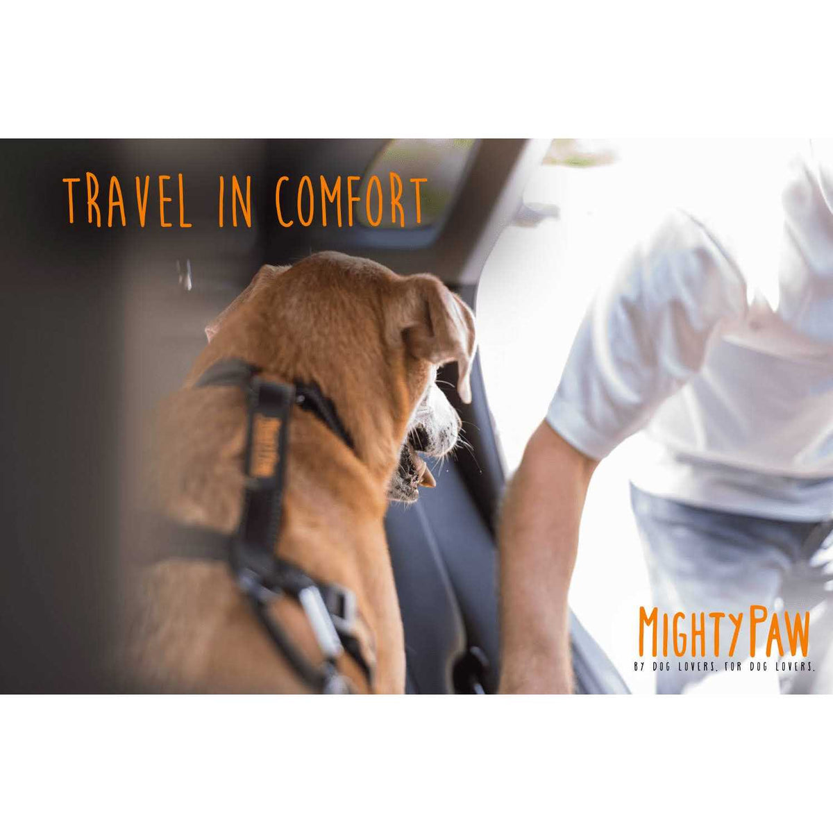 Chew-Proof Dog Seat Belt X777625