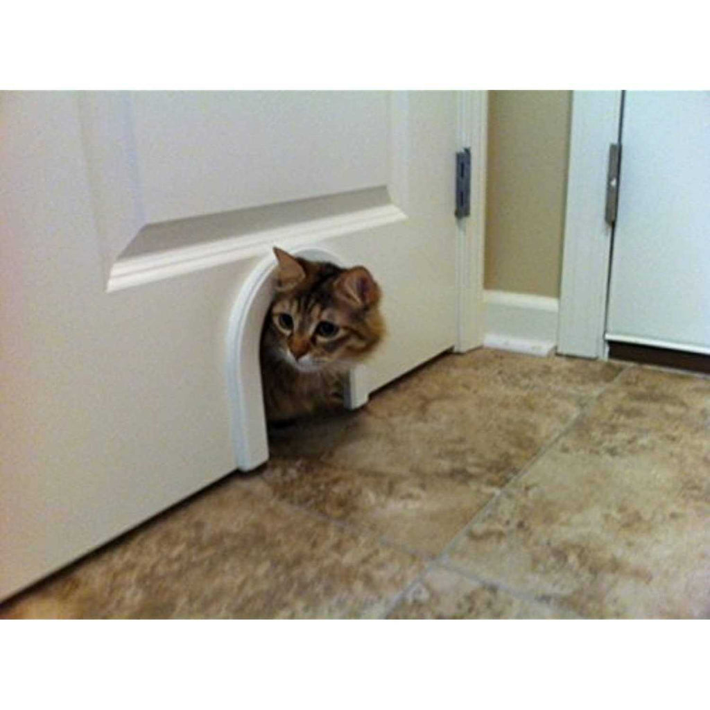 Cat Door with Brush D251