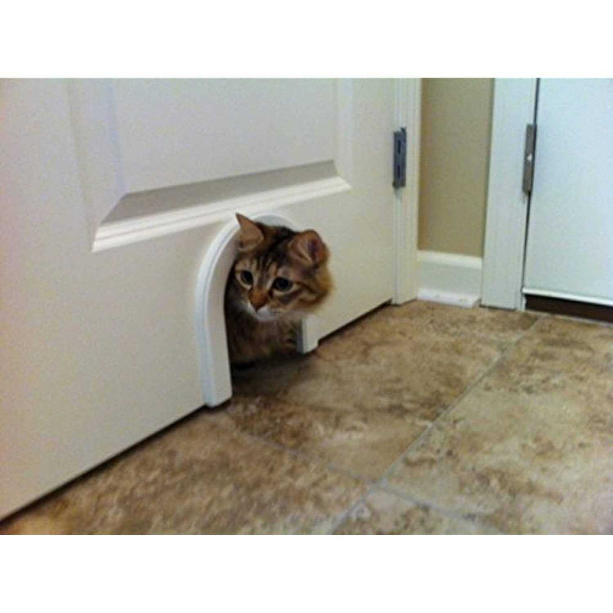 Cat Door with Brush D251