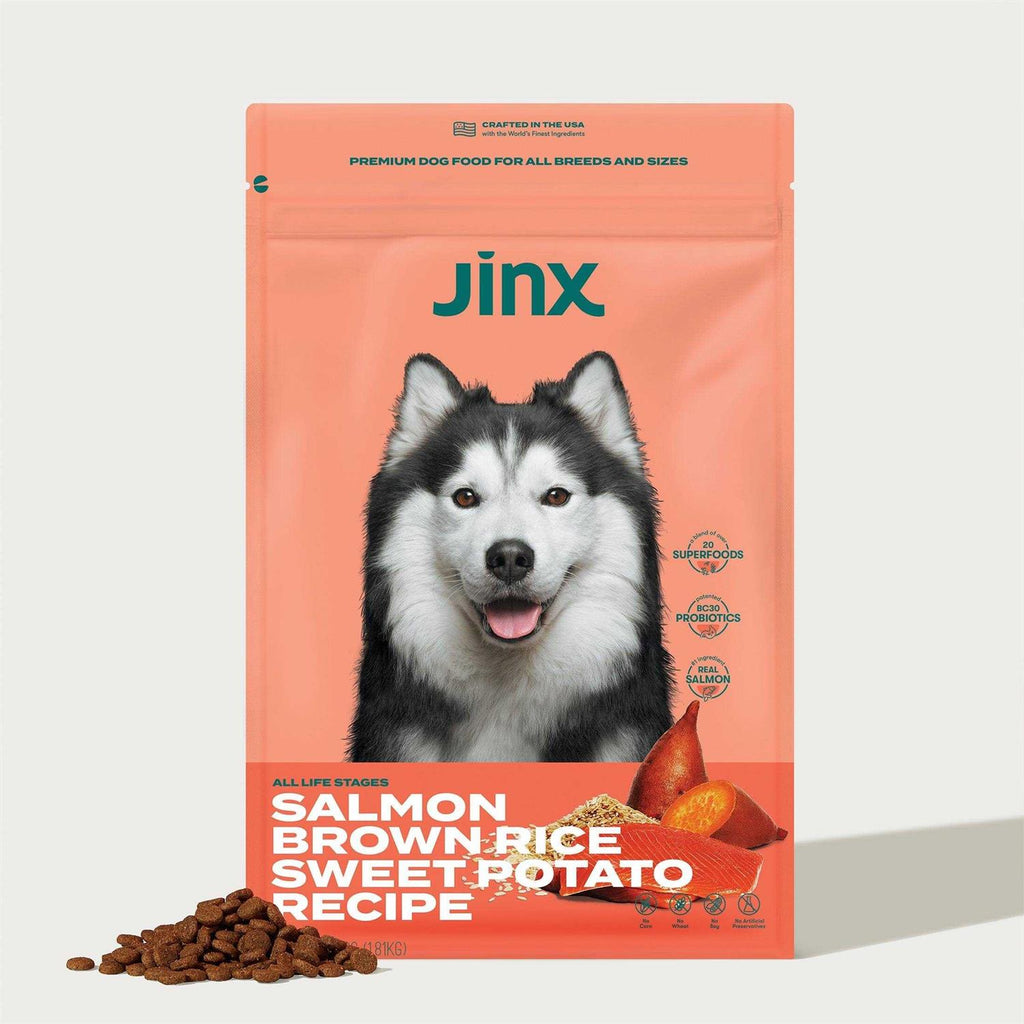 Salmon Brown Rice & Sweet Potato Dry Dog Food D1248