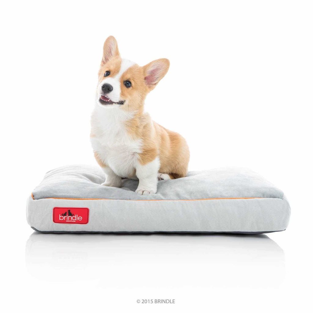Soft Memory Foam Dog Bed with Removable Washable Cover E65047
