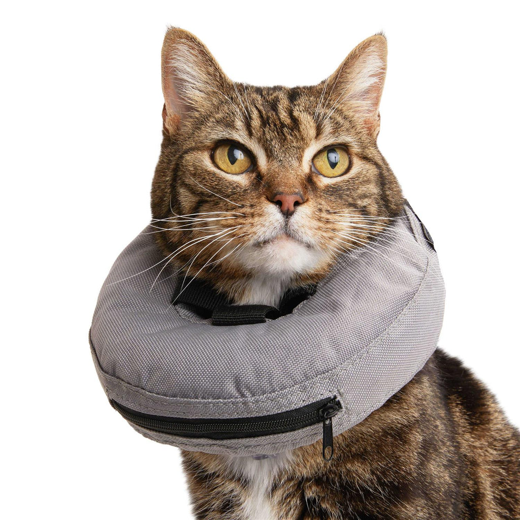 Inflatable Recovery Cat Collar U806556