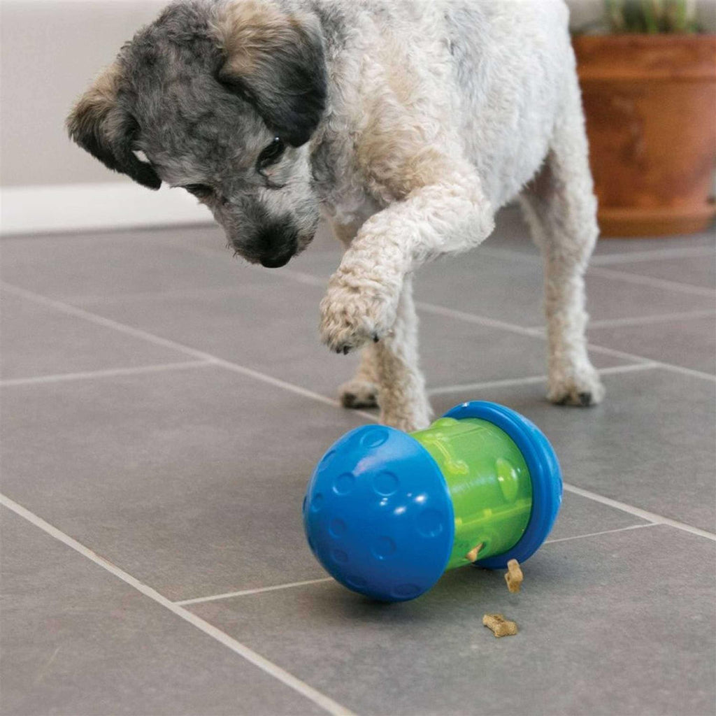 Dog Toy C6573