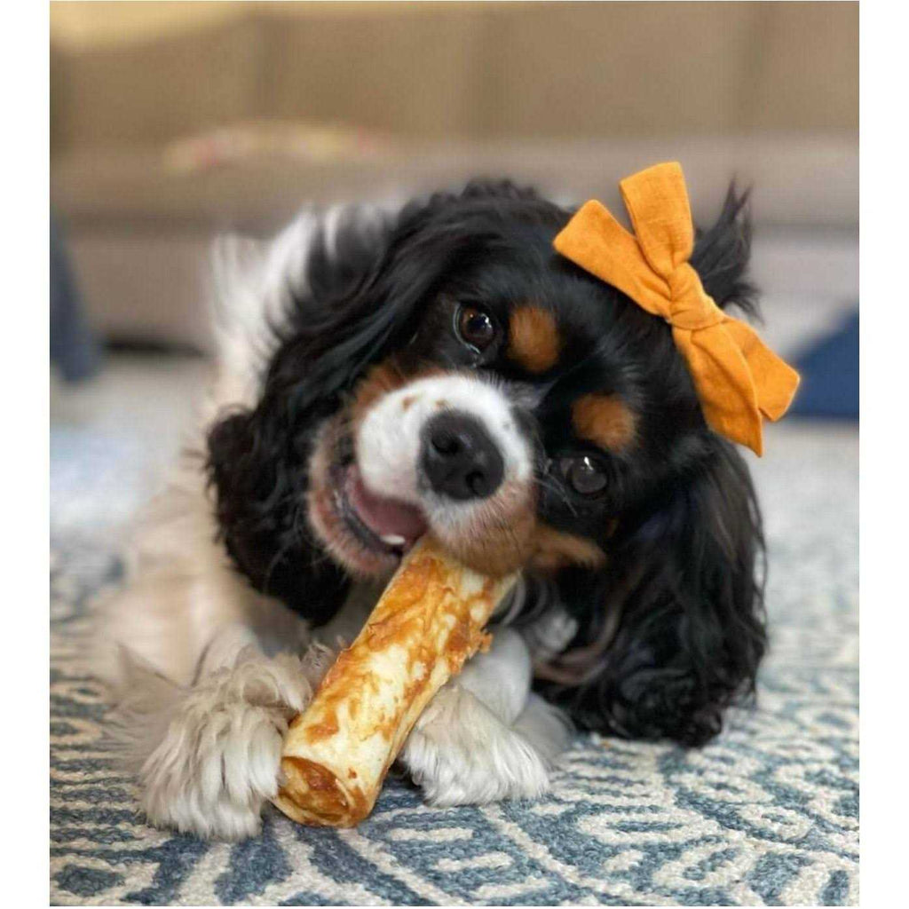 Peanut Butter Pet Supplies J366