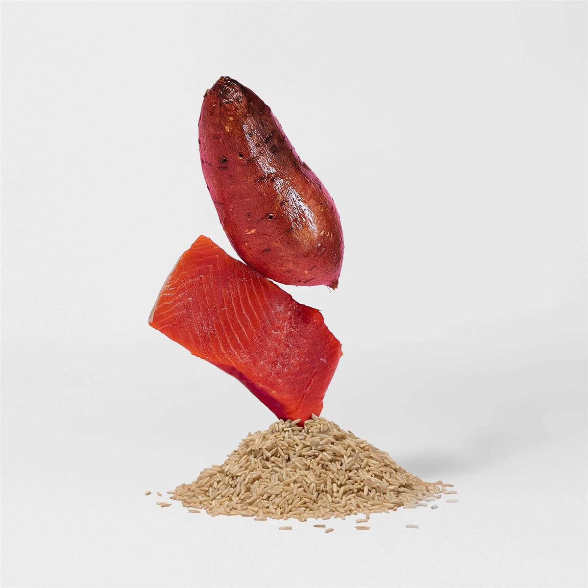 Salmon Brown Rice & Sweet Potato Dry Dog Food D1248