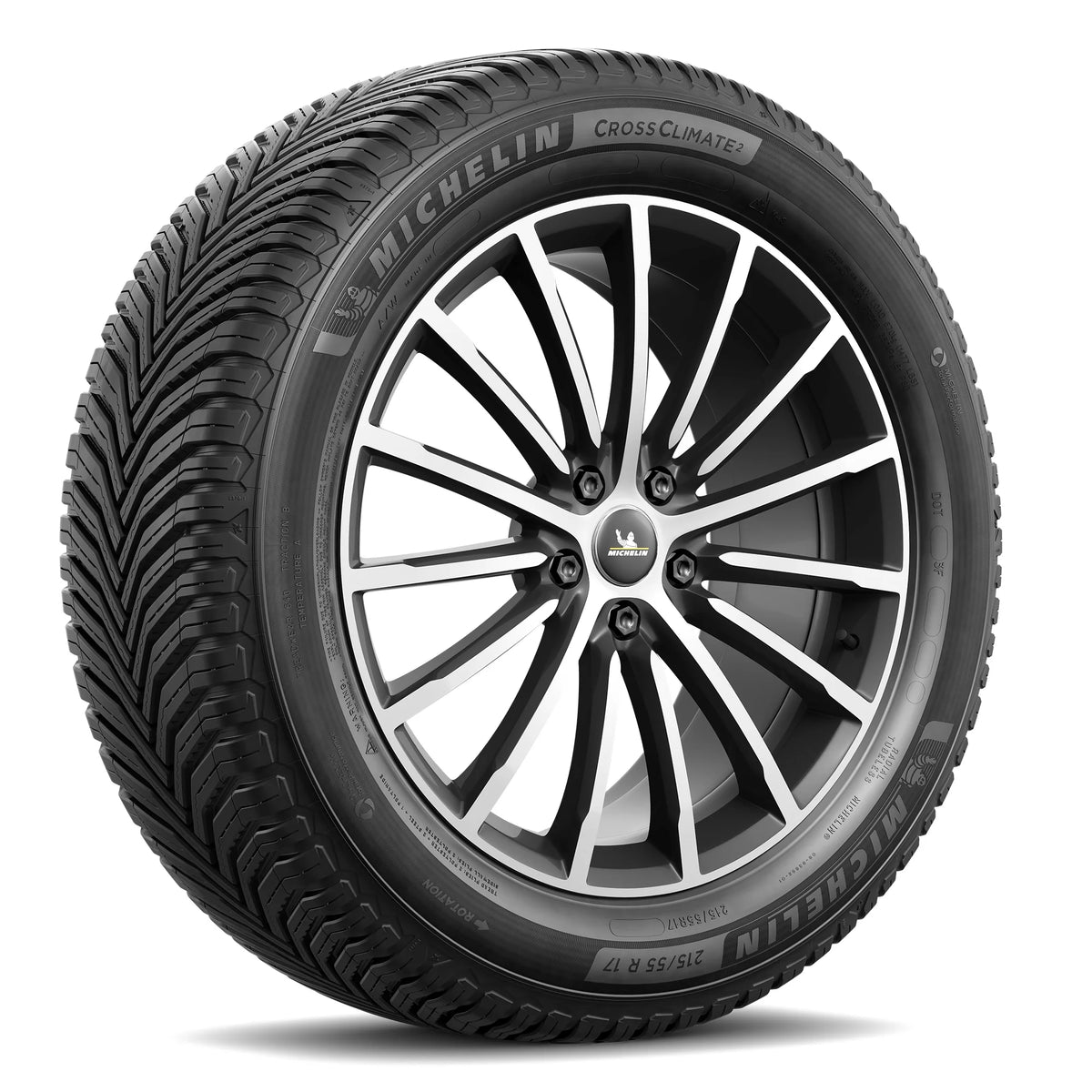 All-Season 205/55R17/XL 95V Tire F67442