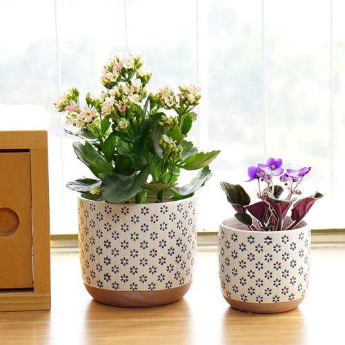 Set of 2 Ceramic Stoneware Plant Pots with Drainage Hole F72078