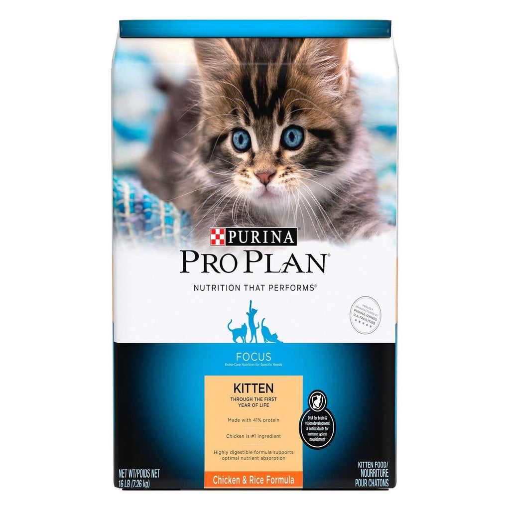 Kitten Dry Food G653485