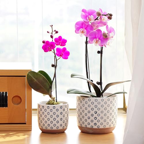 Set of 2 Ceramic Stoneware Plant Pots with Drainage Hole F72078
