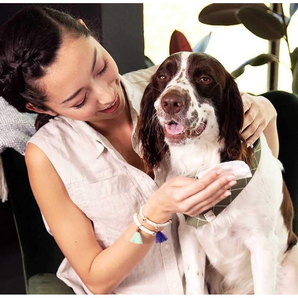 Deodorizing Bath Wipes for Dogs V734006