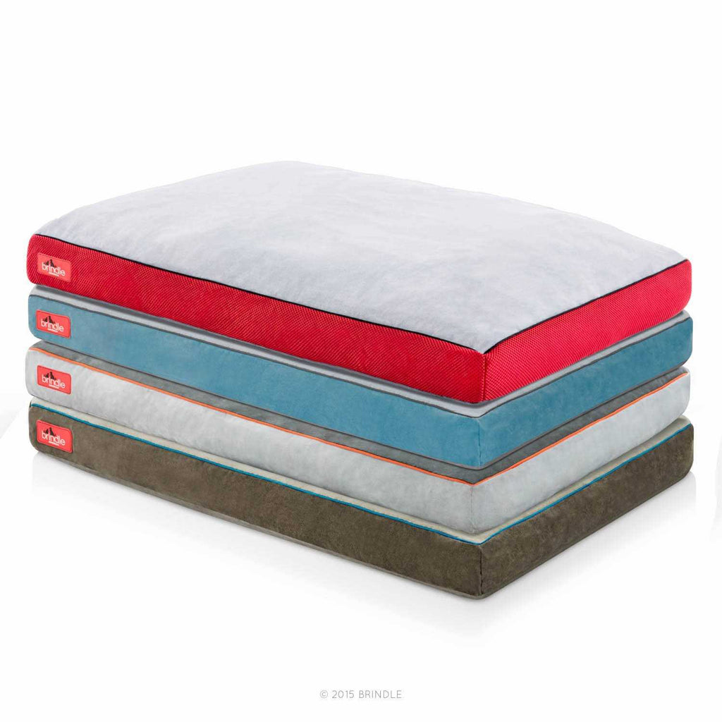 Soft Memory Foam Dog Bed with Removable Washable Cover E65047