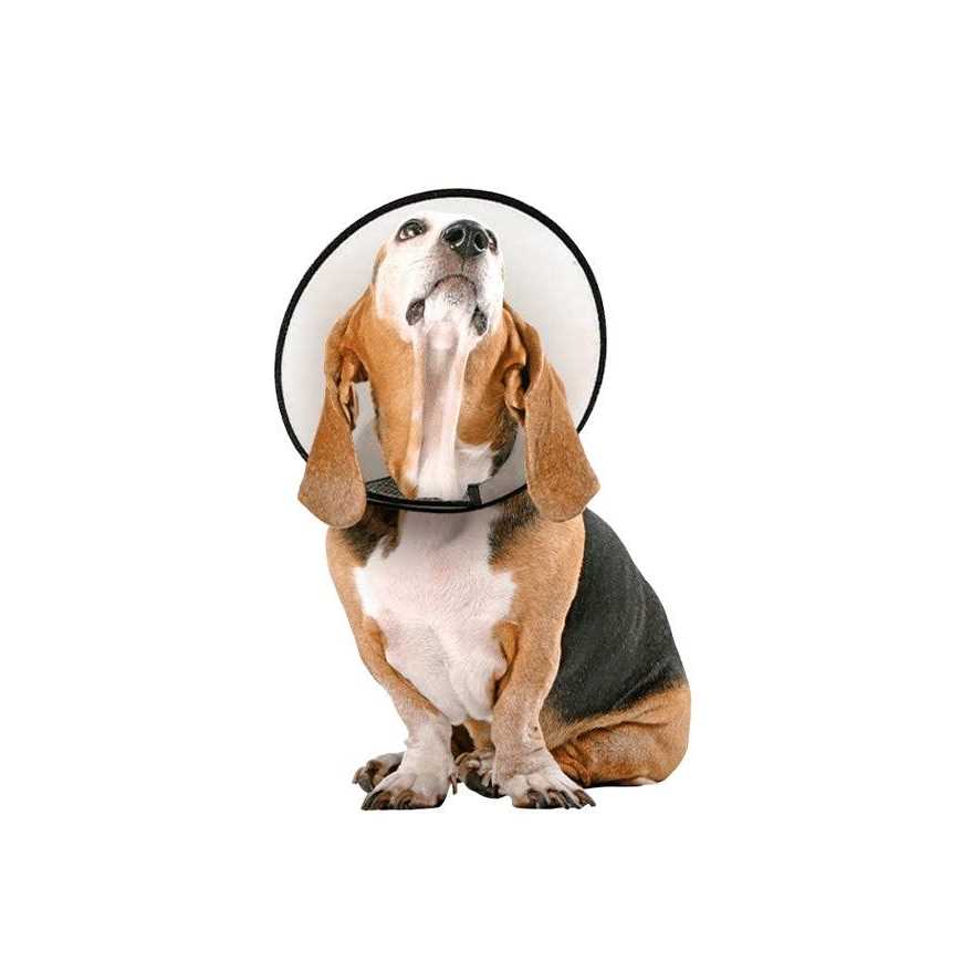 Protective Cone Collar B57024