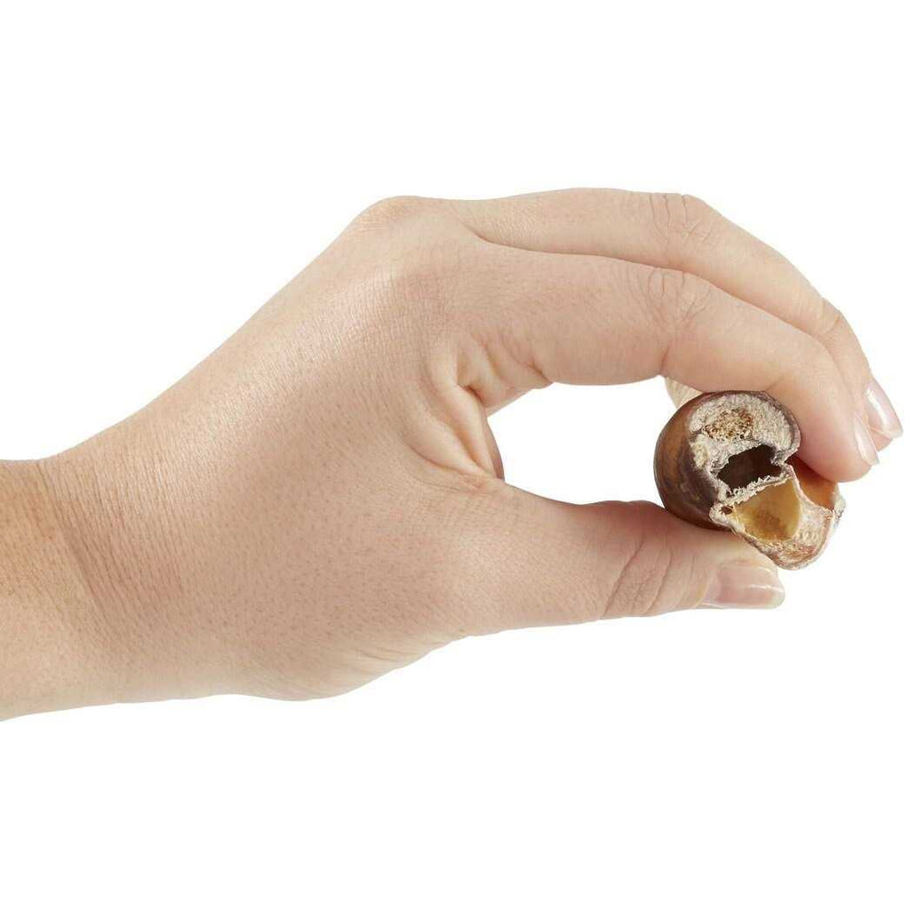 Braided Bully Stick Dog Treat A4948