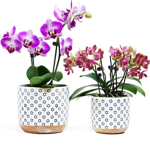 Set of 2 Ceramic Stoneware Plant Pots with Drainage Hole F72078