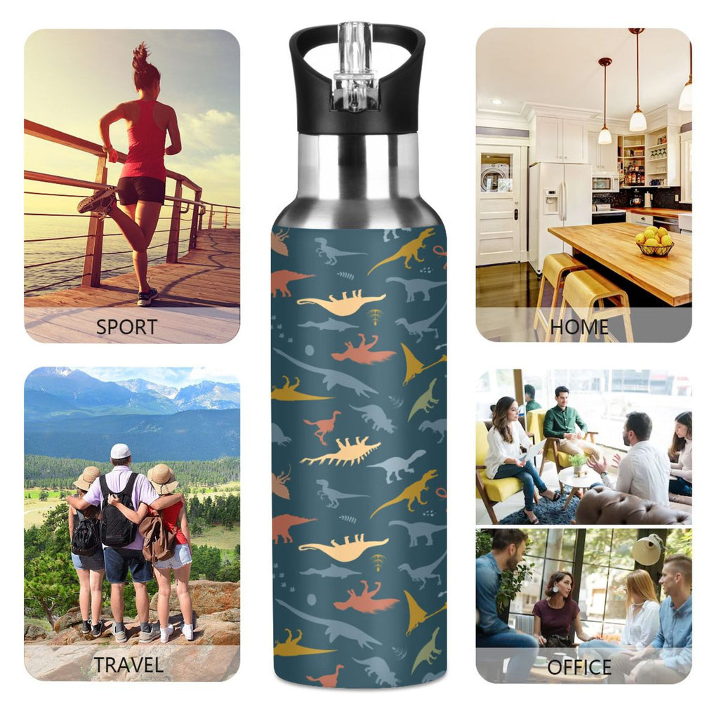 20 OZ Stainless Steel Water Bottle with Straw Lid Q822227