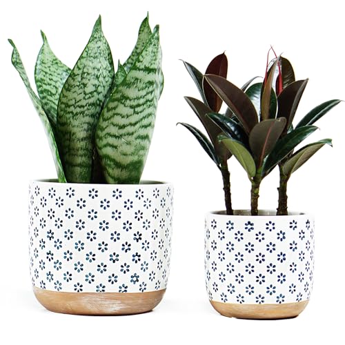 Set of 2 Ceramic Stoneware Plant Pots with Drainage Hole F72078