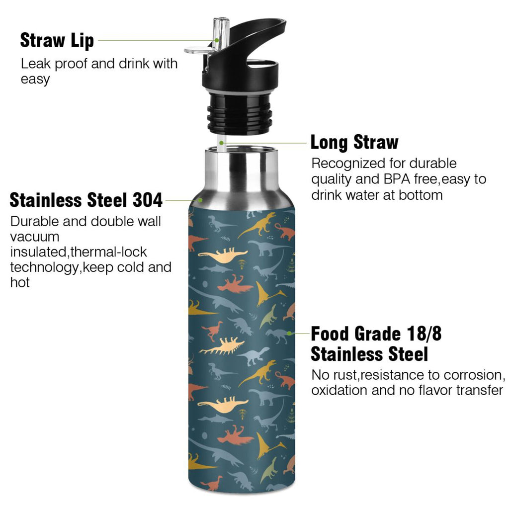 20 OZ Stainless Steel Water Bottle with Straw Lid Q822227