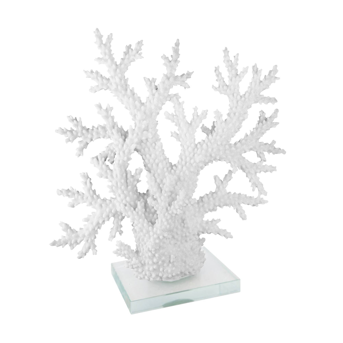 White Coral on Acrylic Base V42369