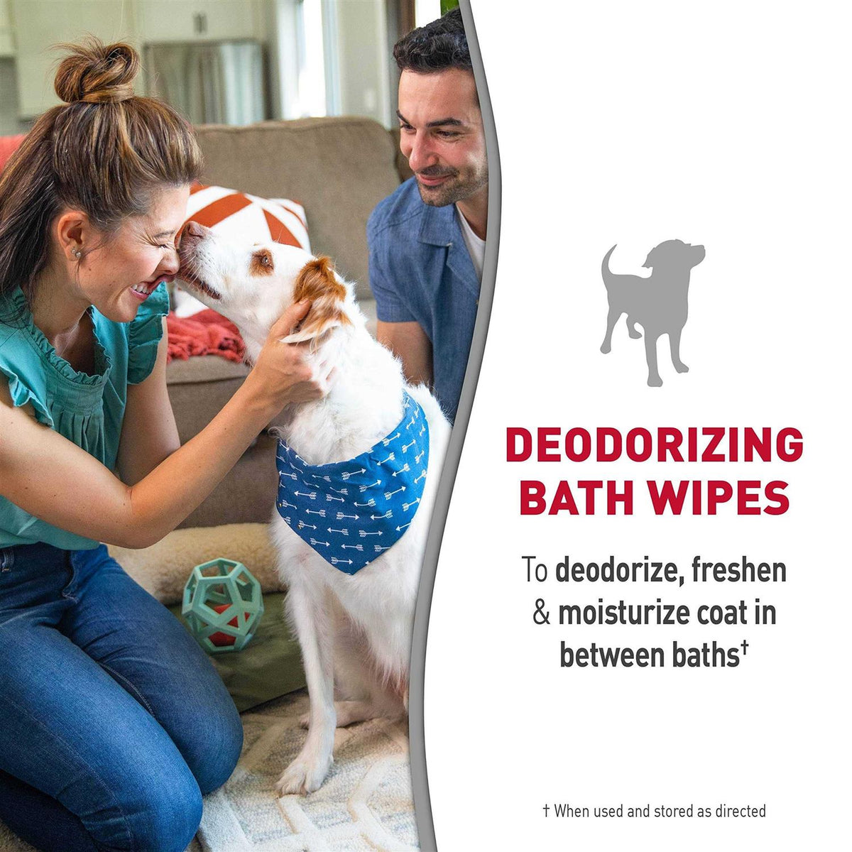 Deodorizing Bath Wipes for Dogs V734006